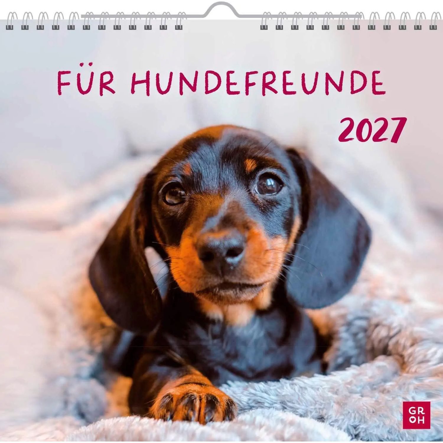 groh Verlag Wandkalender Wandkalender 2027: Für Hundefreunde
