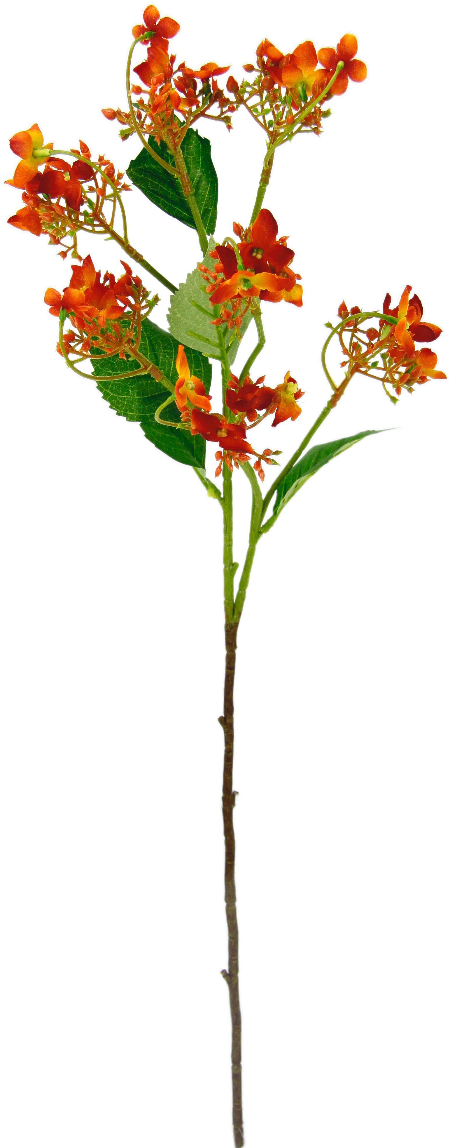 Kunstblume Blütenzweig, I.GE.A., Höhe 60 Kunstpflanze, Set künstlicher Dekozweig 5er Zweig, orange cm