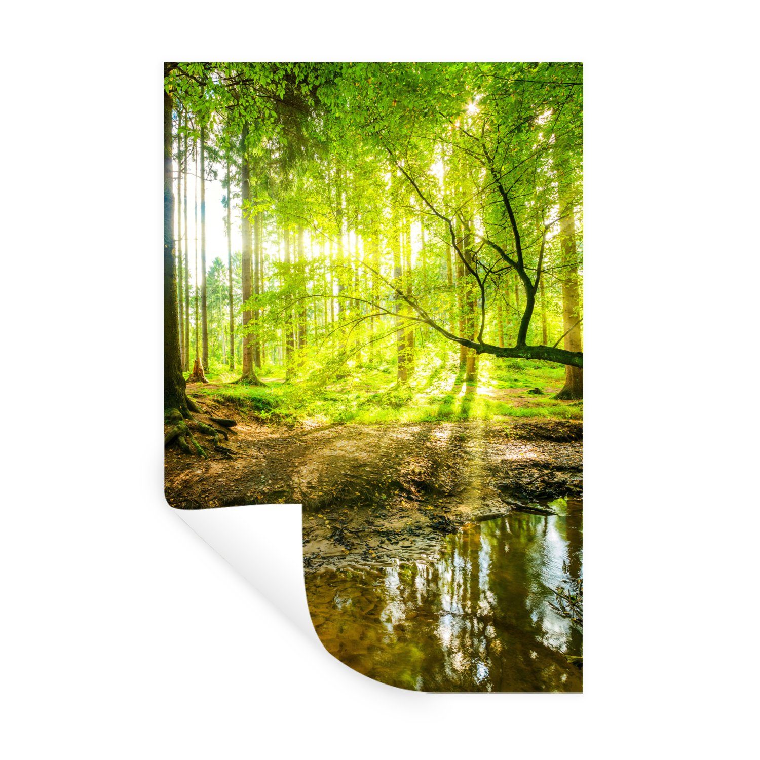 MuchoWow Wandsticker Wald - Landschaft - Wasser - Bäume - Sonne - Grün - Na günstig online kaufen
