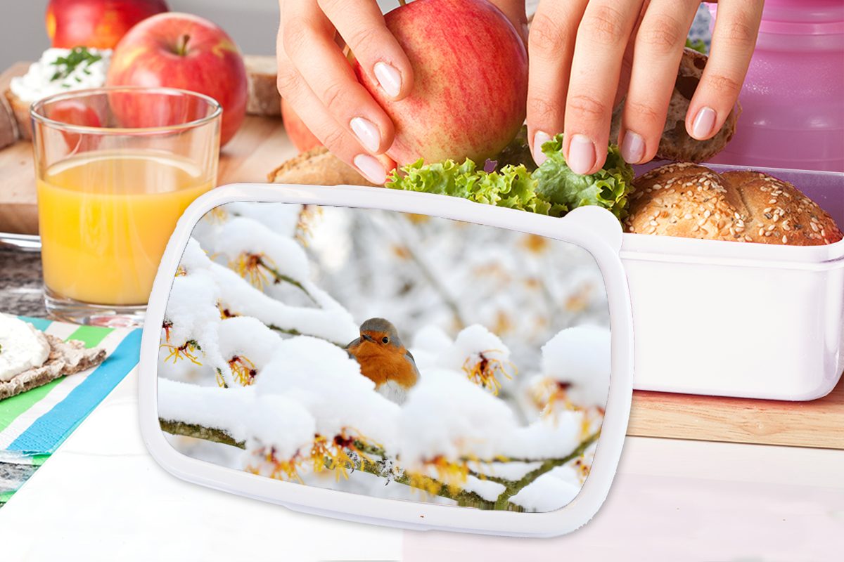 MuchoWow Lunchbox Schnee Brotdose, Jungs Mädchen - weiß für Kunststoff, Erwachsene, Rotkehlchen und Zweig, - für Brotbox (2-tlg), Kinder und