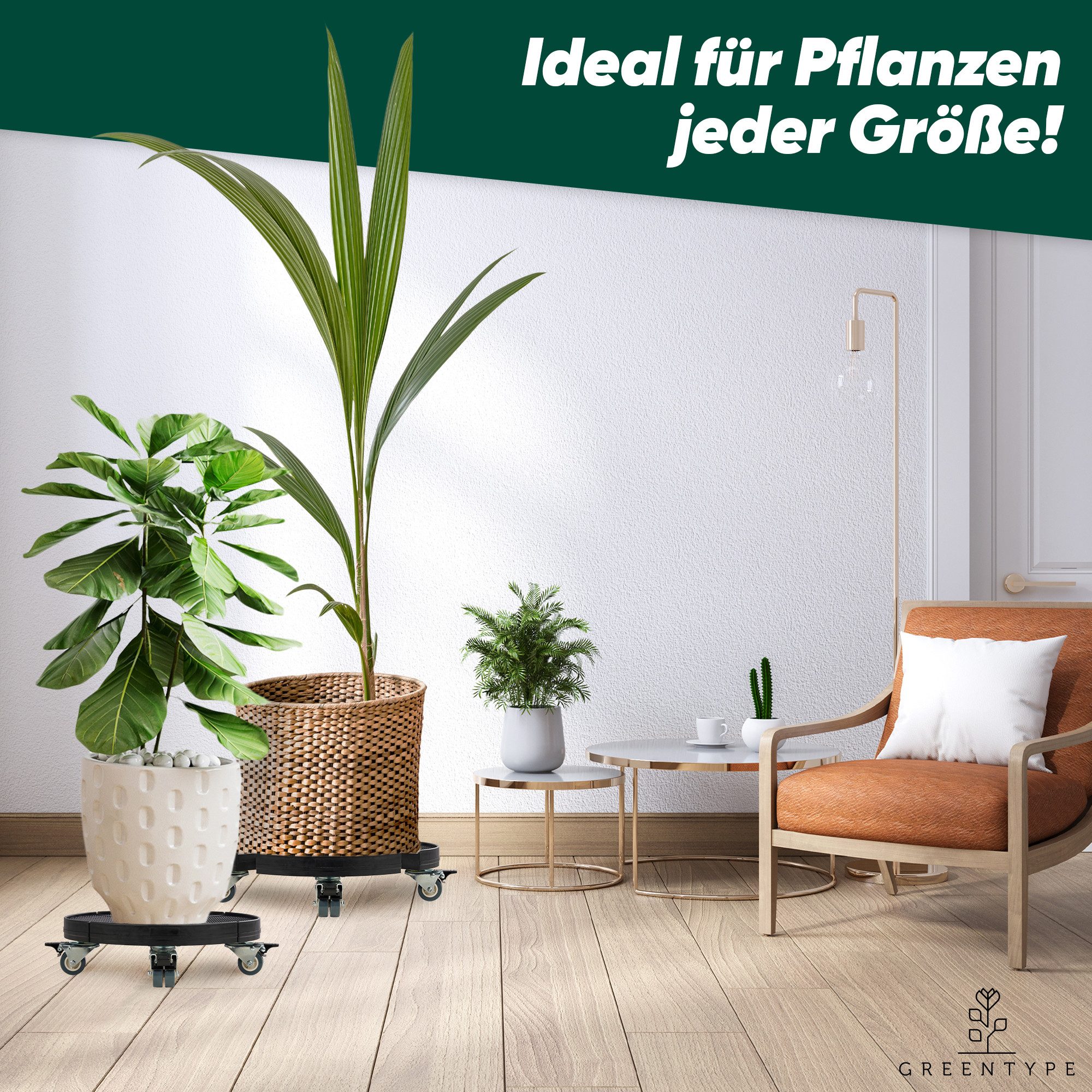 GREENTYPE Pflanzenroller GREENTYPE, Tragkraft 200 kg, günstig online kaufen