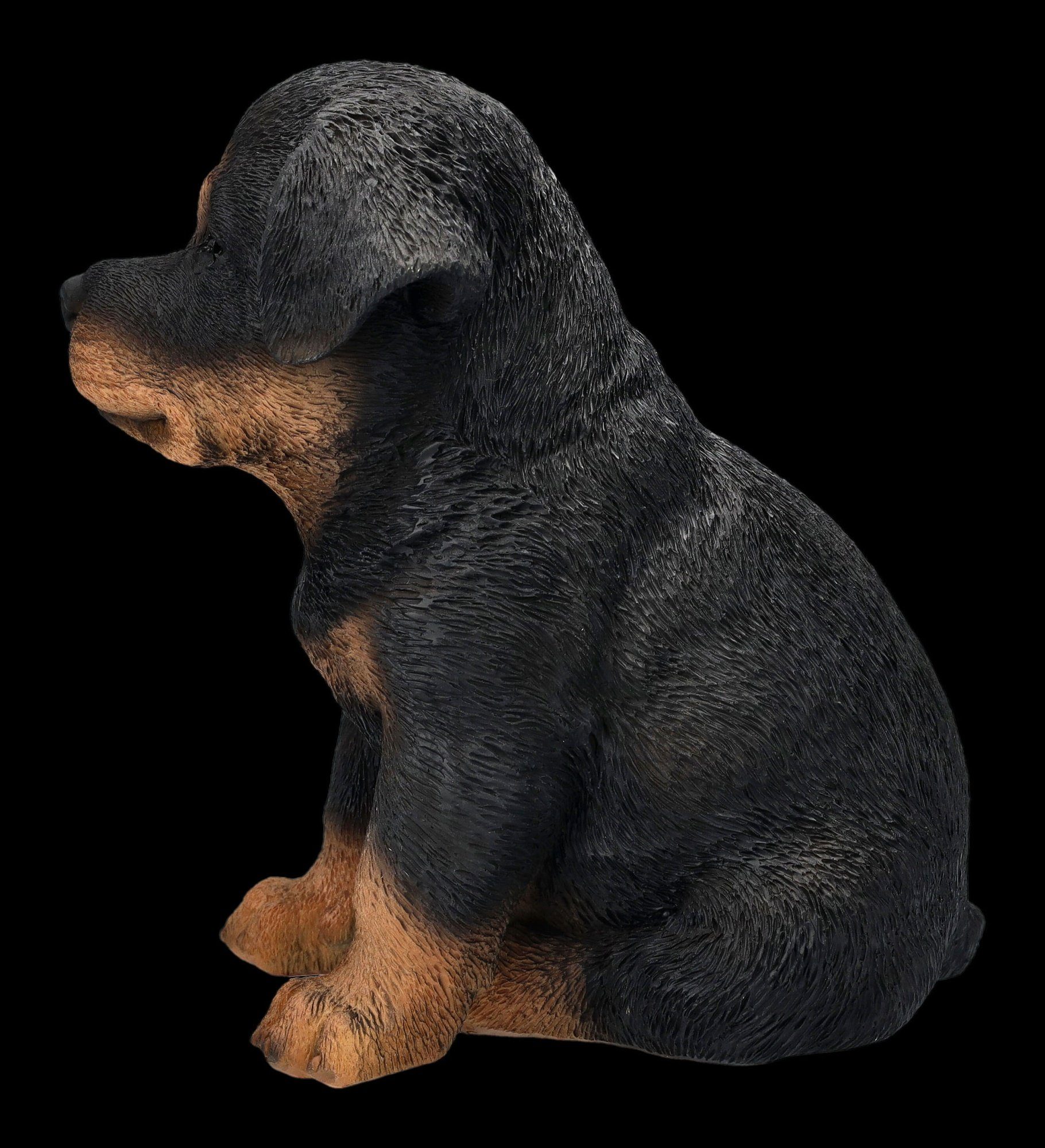 - Tierdeko Welpen GmbH Hund Figur Rottweiler Figuren Tierfigur Dekofigur Shop