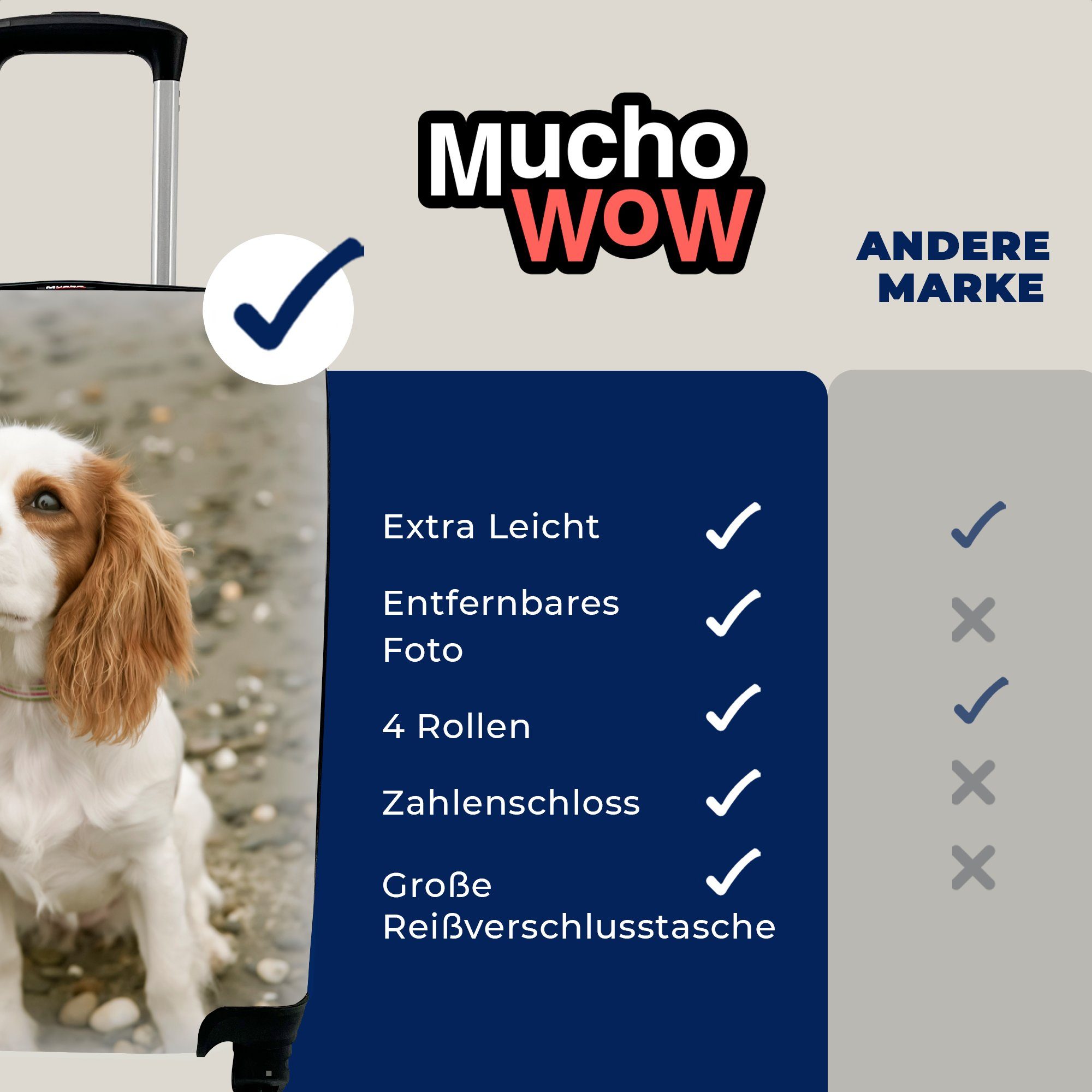 Trolley, mit MuchoWow King rollen, Spaniel Cavalier Reisekoffer für Charles Ferien, auf, 4 Handgepäck Handgepäckkoffer Ein Rollen, schaut Reisetasche