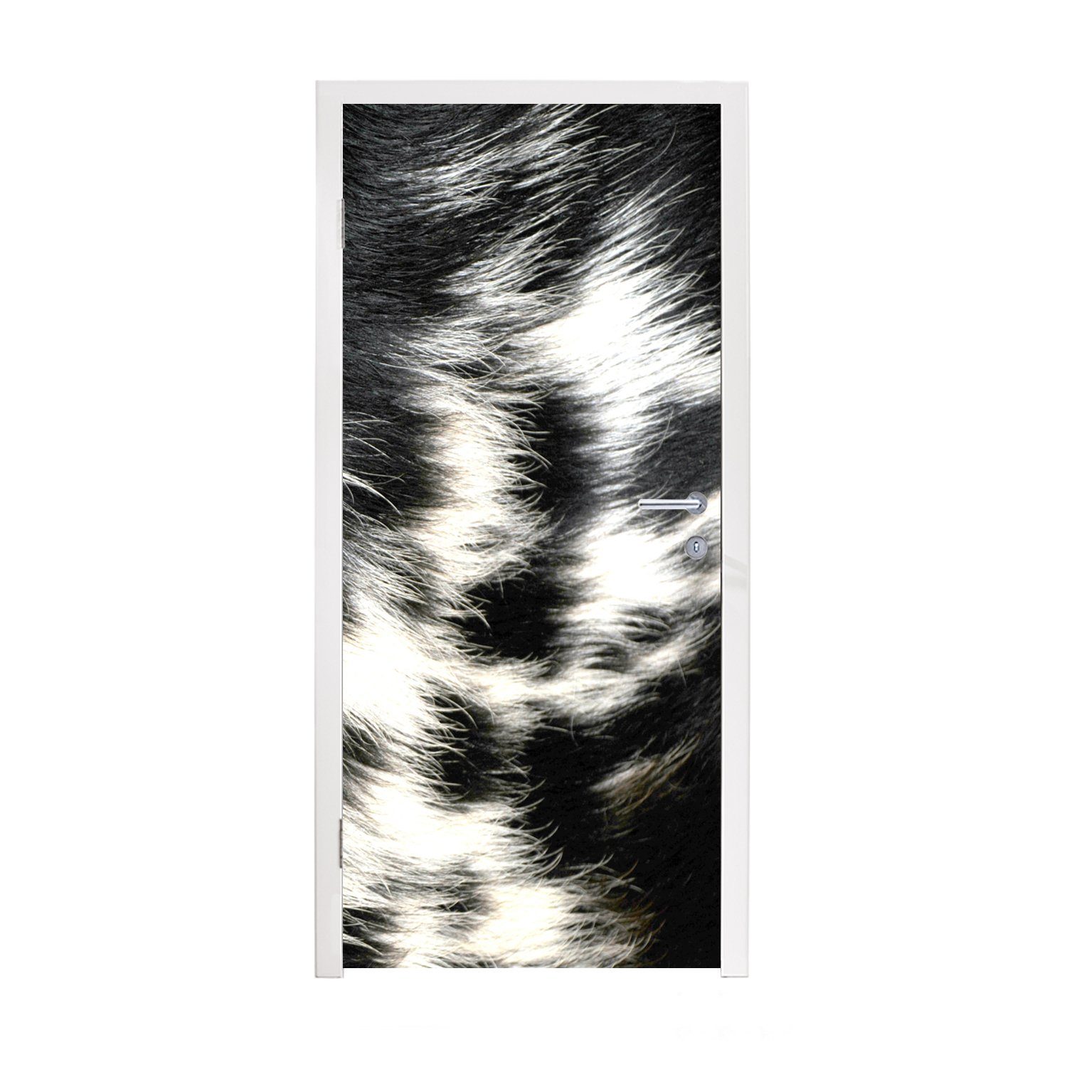 MuchoWow Türtapete Die Kuhhaut einer Langhornkuh, Matt, bedruckt, (1 St), Fototapete für Tür, Türaufkleber, 75x205 cm