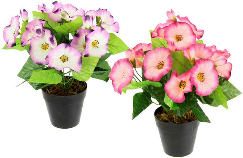 Kunstblume Petunien, I.GE.A., Höhe 27 cm, Im Topf, 2er Set Petunien Zierpflanze Glockenblume klein Blumen Deko