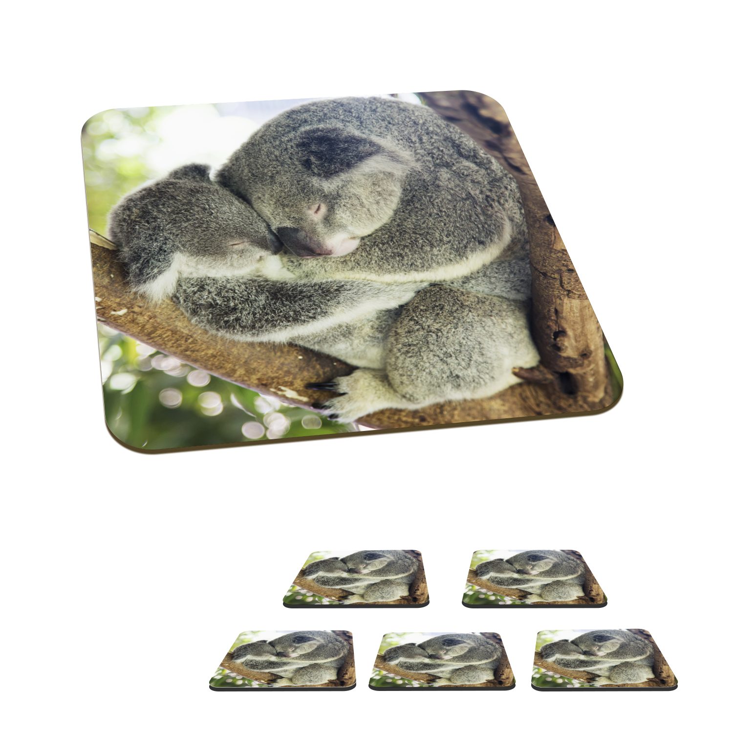 MuchoWow Glasuntersetzer Koalas - Plüschtier - Tiere - Kinder - Jungen - Mädchen, Zubehör für Gläser, 6-tlg., Glasuntersetzer, Tischuntersetzer, Korkuntersetzer, Untersetzer, Tasse