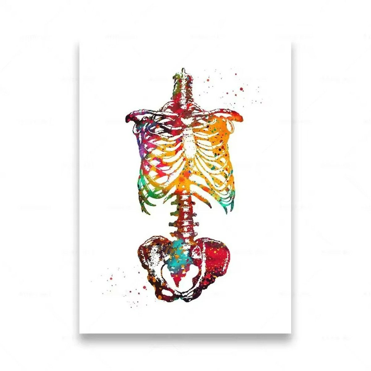 TPFLiving Kunstdruck (OHNE RAHMEN) Poster - Leinwand - Wandbild, Menschliche Anatomie, Wirbelsäule, Herz, Gehirn, Zähne, HD-Leinwand (Leinwandbild XXL), Farben: Orange, Rot, Blau, Schwarz, Weiß, Rosa -Größe: 40x60cm