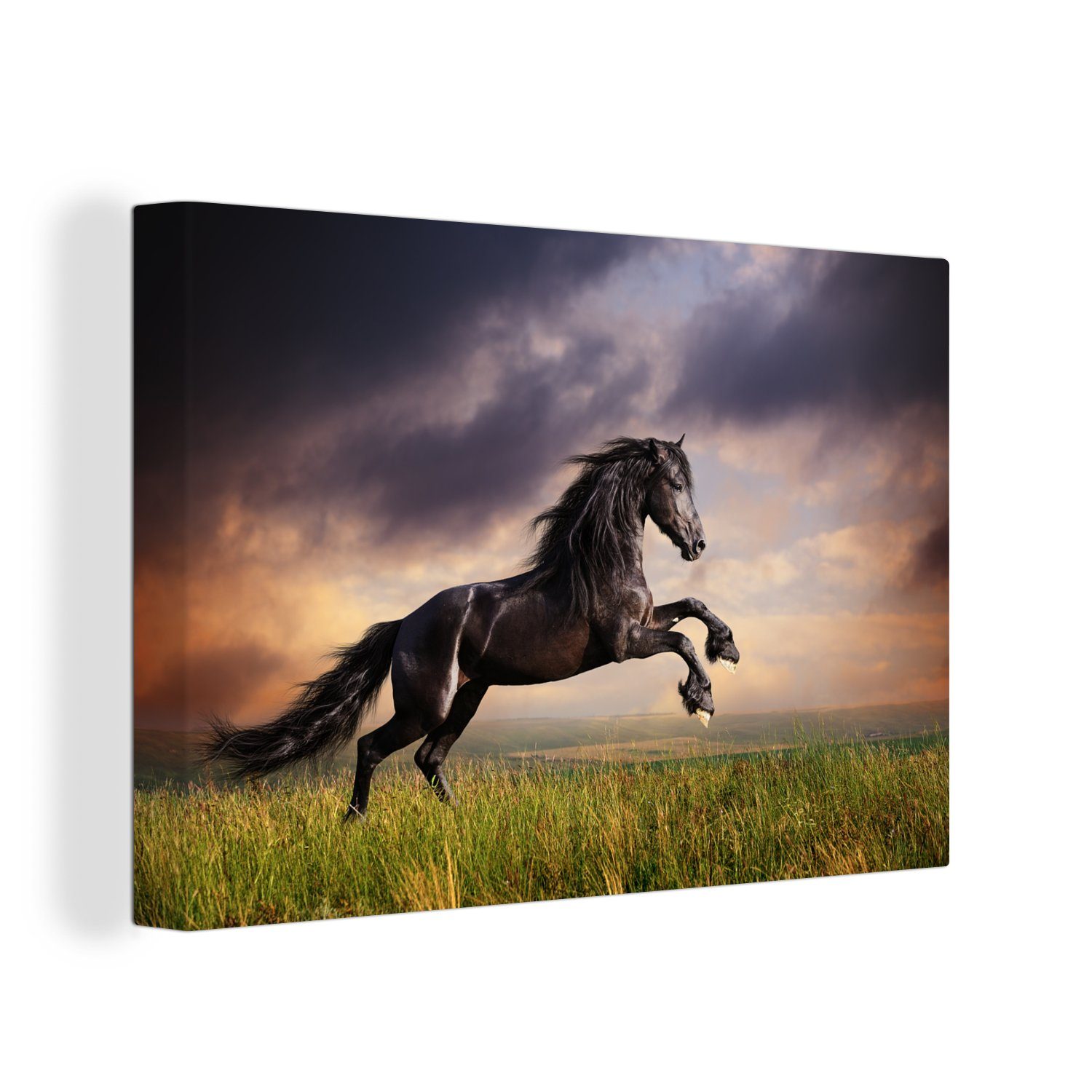 OneMillionCanvasses® Leinwandbild Pferd - Luft - Nacht - Gras, (1 St), Wandbild für alle Wohnbereiche, Gemälde, XXL, großes, 120x80 cm