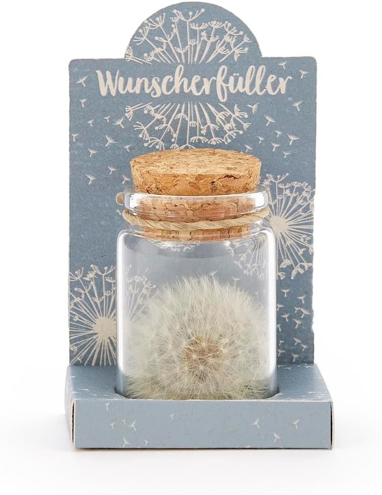 Trockenblume Echte Pusteblume, Toller Wunscherfüller zur günstig online kaufen