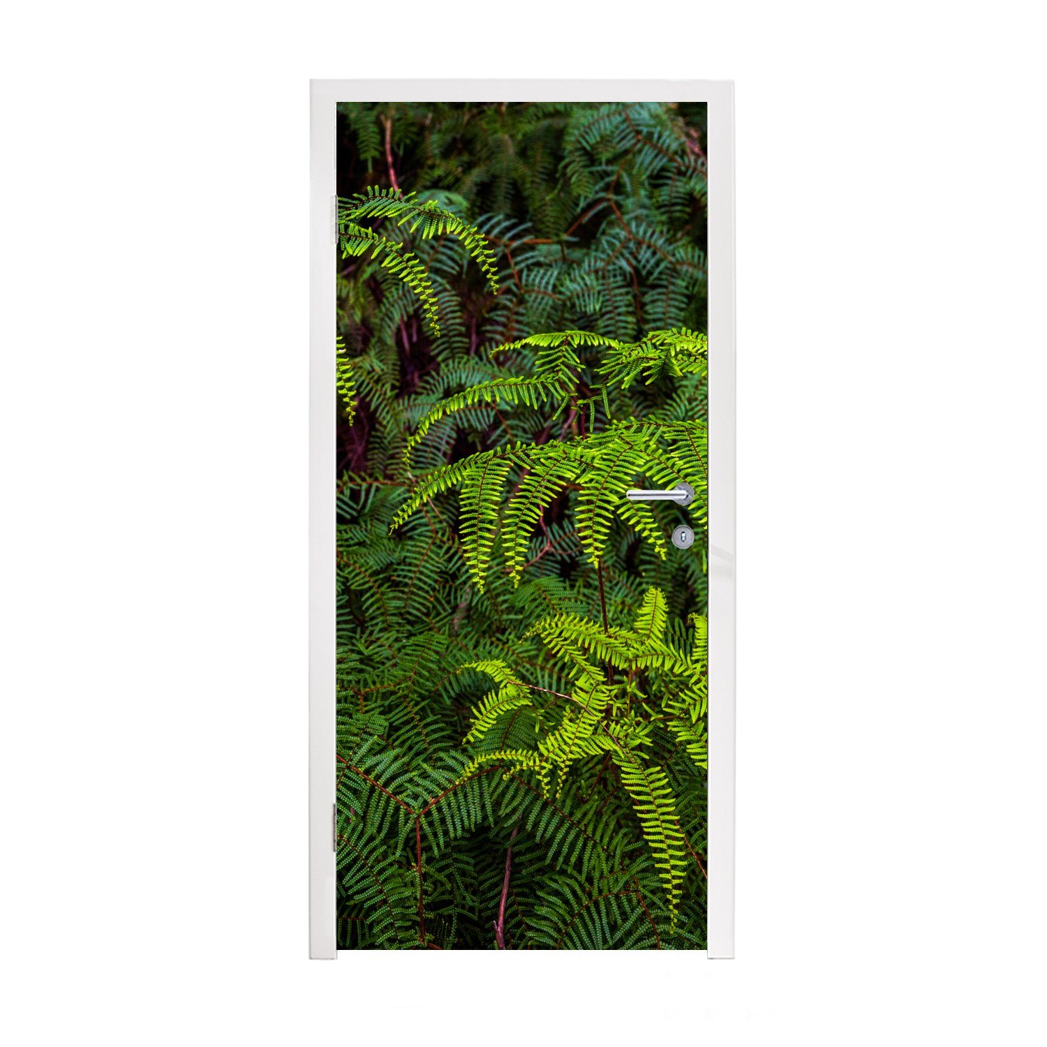 MuchoWow Türtapete Farne auf dunklem Hintergrund, Matt, bedruckt, (1 St), Fototapete für Tür, Türaufkleber, 75x205 cm