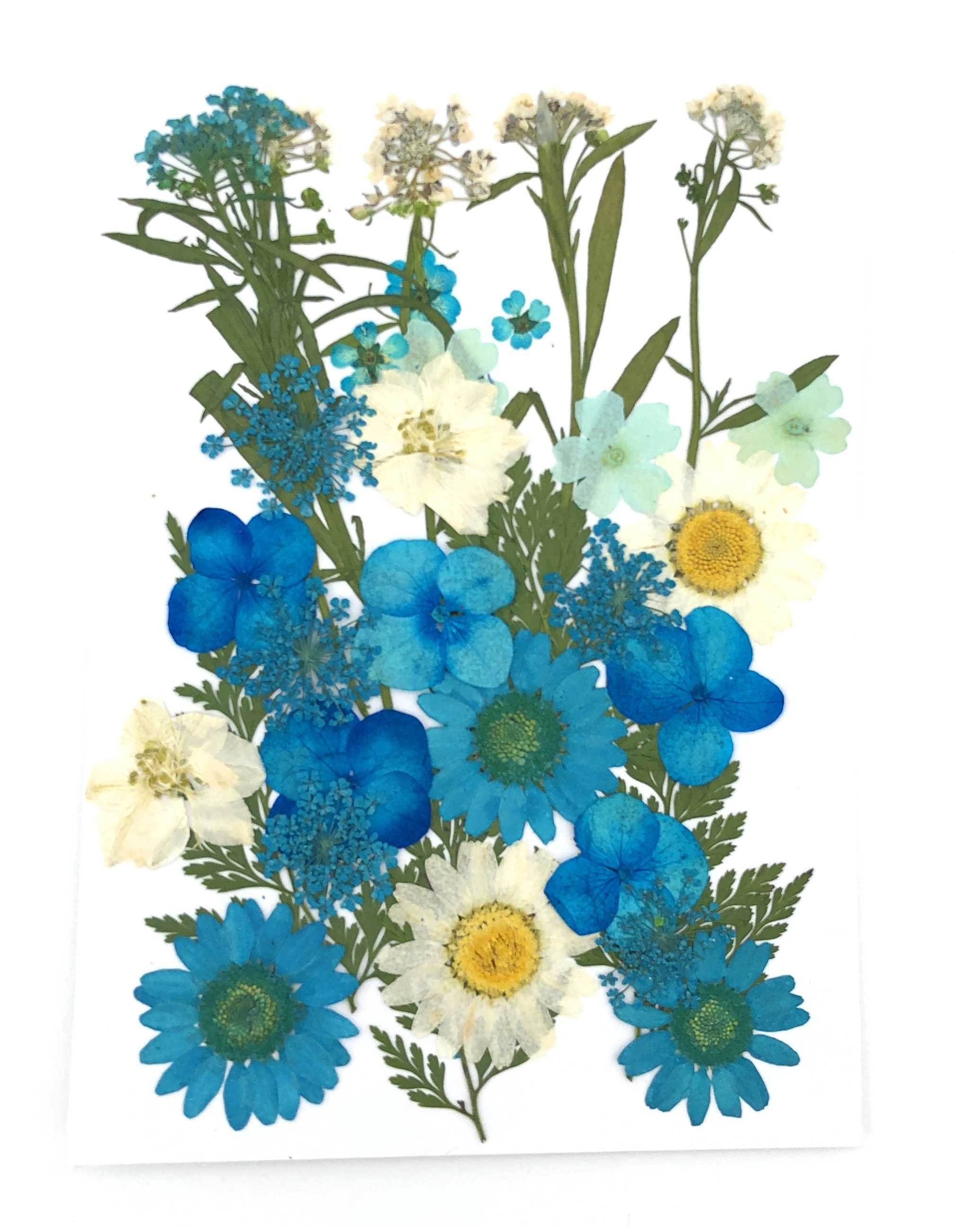 Trockenblume Gepresste Blumen und Blüten in vielen Farben - Blau, Kunstharz.Art