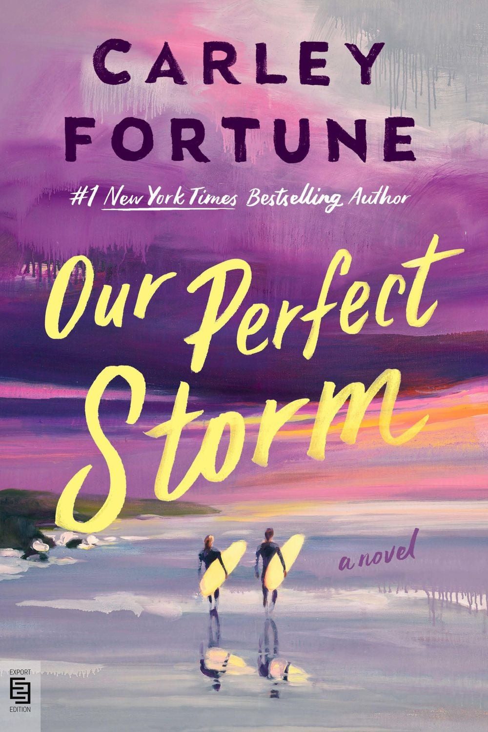 Our Perfect Storm / Carley Fortune