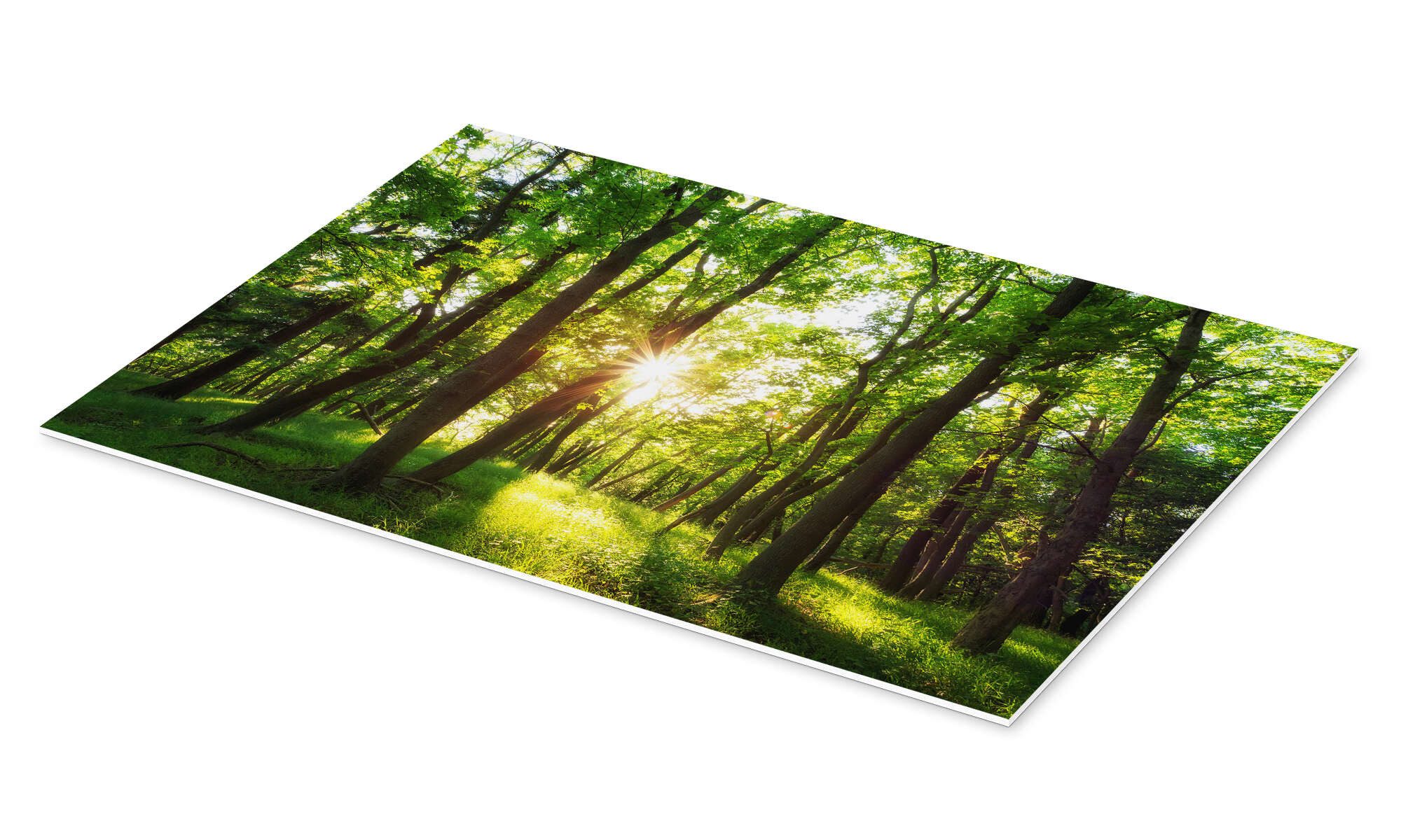 Posterlounge Poster Oliver Henze, Frühling in günstig online kaufen