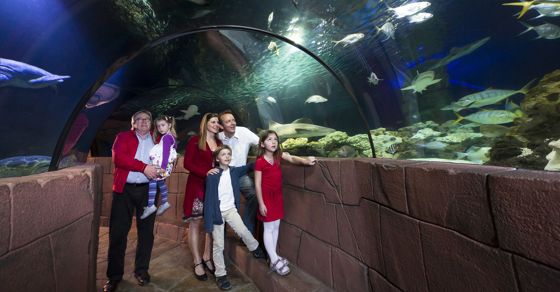 Erlebnisgutschein Sea Life Hannover (Kinder-Ticket)