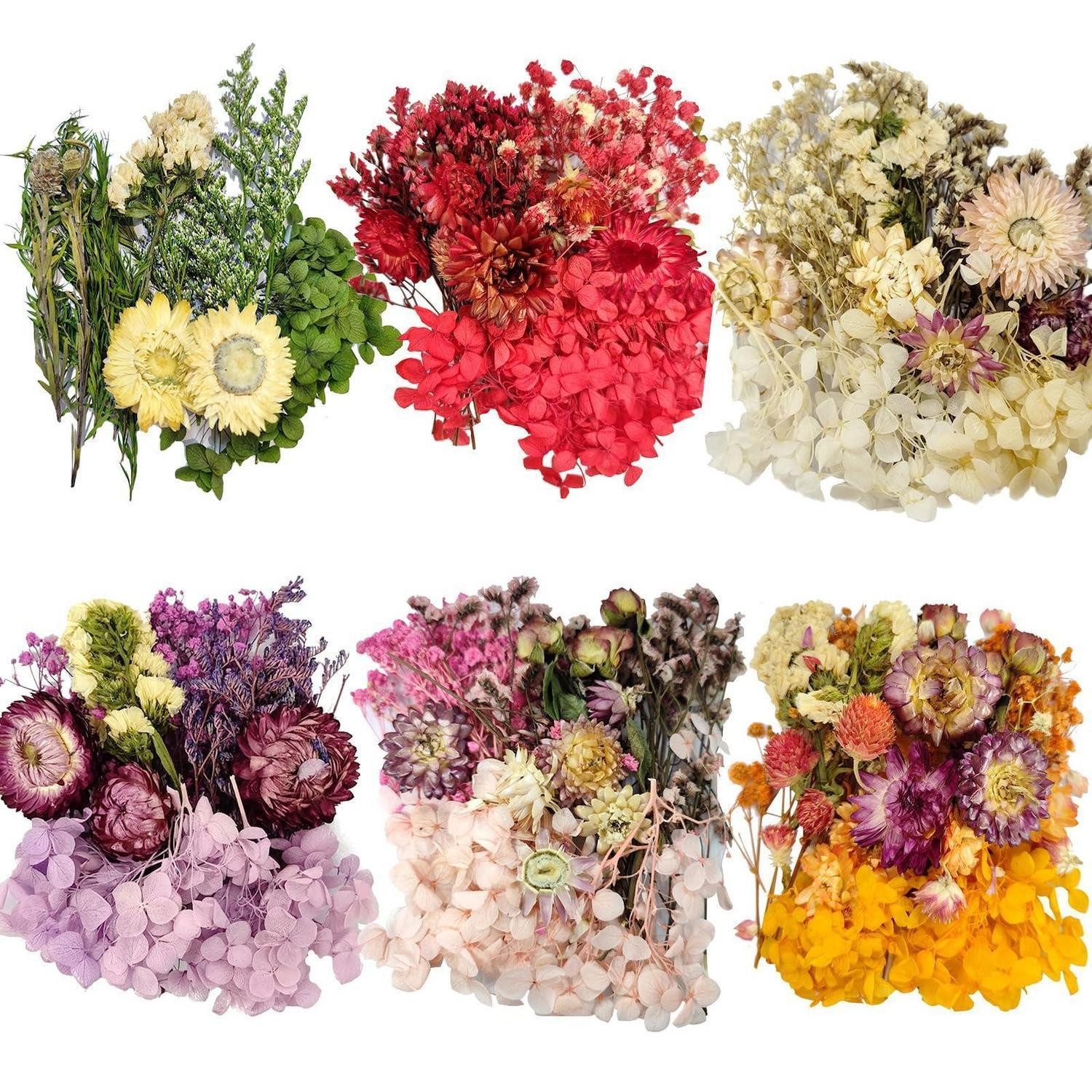 Kleine Trockenblumen online kaufen » Kleines Pampasgras