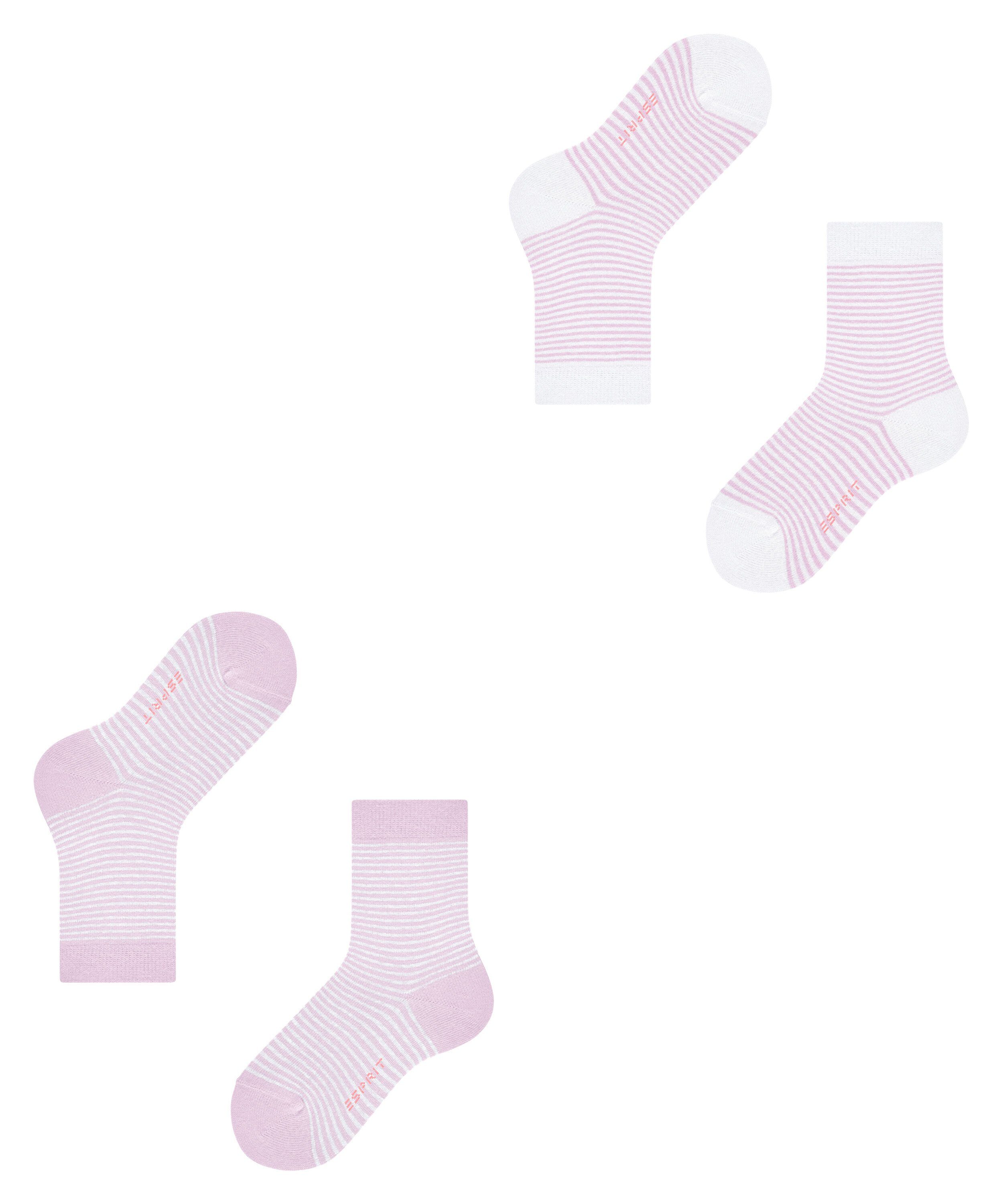 2-Pack Stripe Fine sortiment (2-Paar) Esprit (0060) Socken