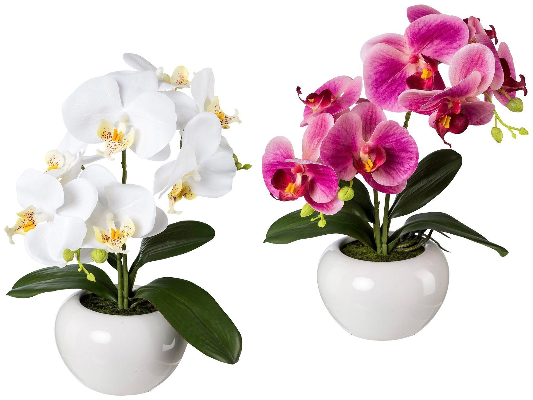 Kunstpflanze »Orchidee Phalaenopsis« Orchidee, Creativ green, Höhe 35