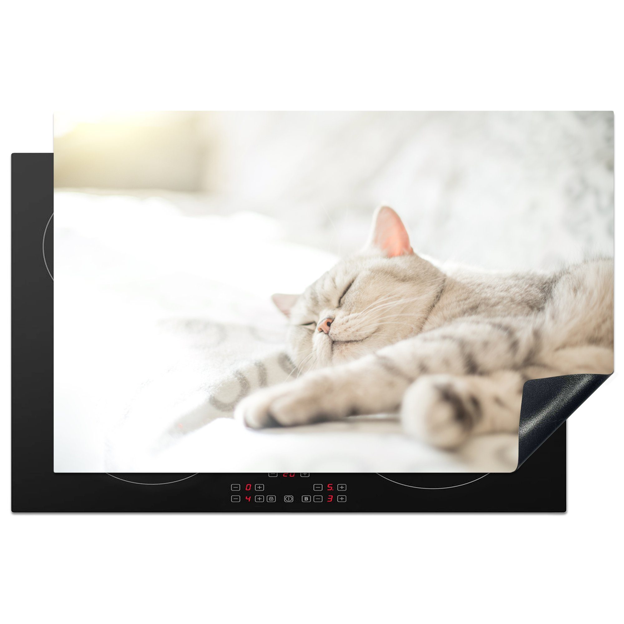 MuchoWow Herdblende-/Abdeckplatte Die Katze schläft auf dem Sofa, Vinyl, (1 tlg), 81x52 cm, Induktionskochfeld Schutz für die küche, Ceranfeldabdeckung