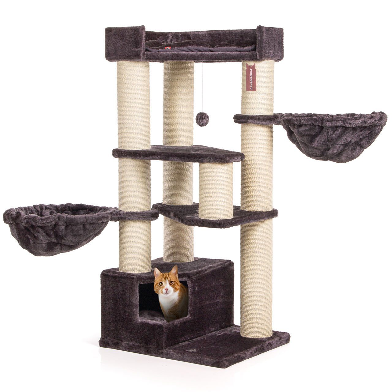 Canadian Cat Company Kratzbaum Vancouver, Sisalstamm Ø15cm, Kratzstamm für Katzen, ca. 65x55x140cm, anthrazit