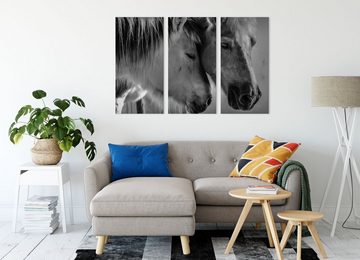 Pixxprint Leinwandbild zwei liebevolle Pferde, zwei liebevolle Pferde 3Teiler (120x80cm) (1 St), Leinwandbild fertig bespannt, inkl. Zackenaufhänger