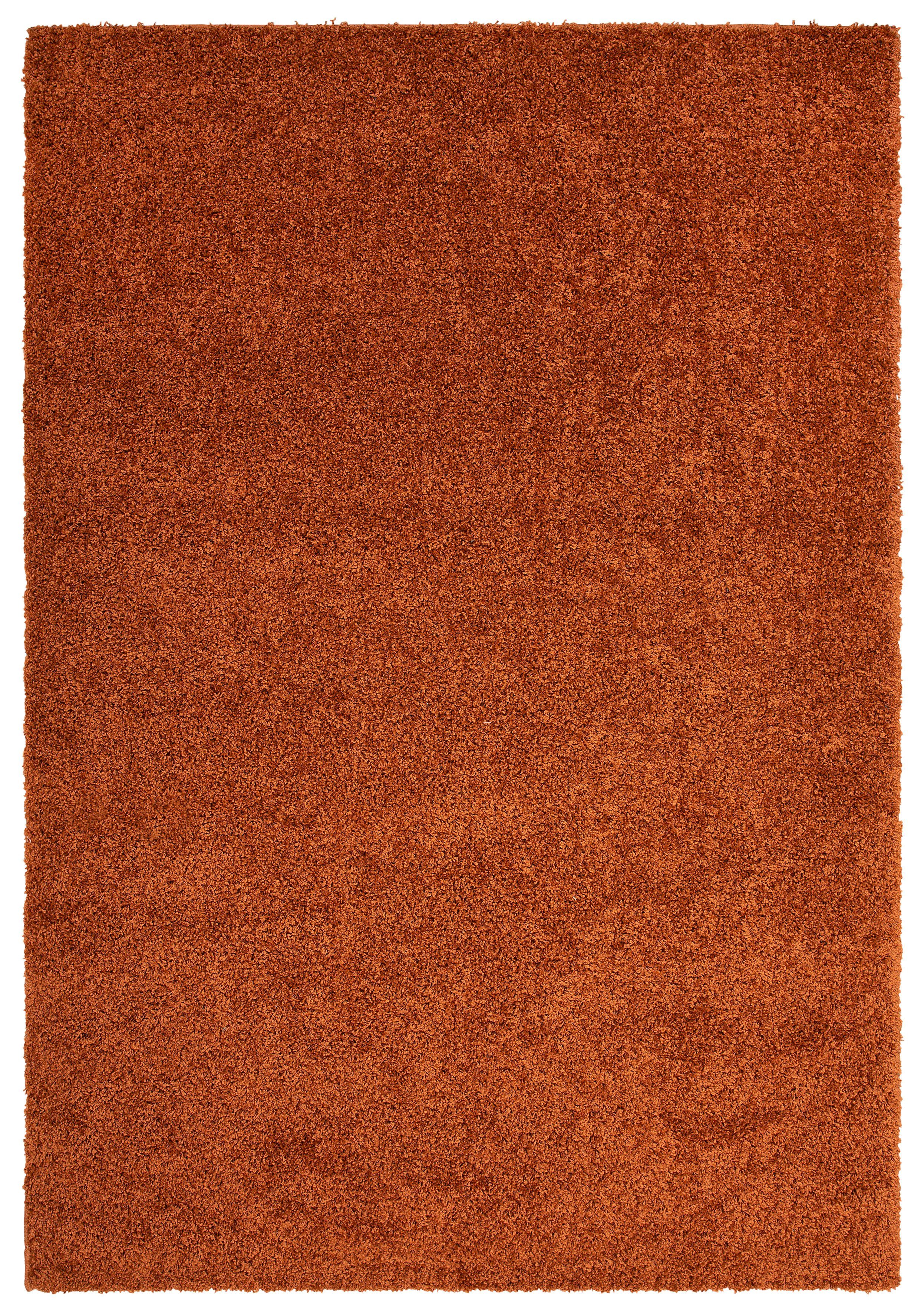 my home Hochflor-Teppich Viva, rechteckig, Höhe: günstig online kaufen