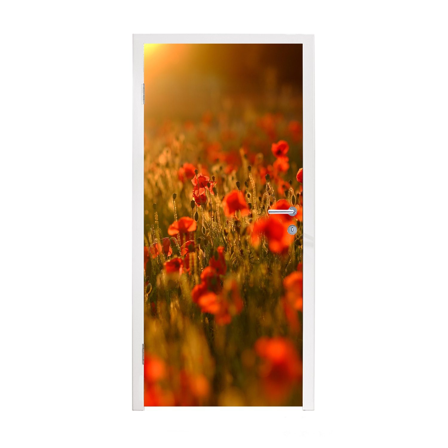 MuchoWow Türtapete Orangefarbenes Leuchten für über den bedruckt, Fototapete Mohnblumen Tür, St), cm Matt, Feld, 75x205 (1 Türaufkleber, dem auf