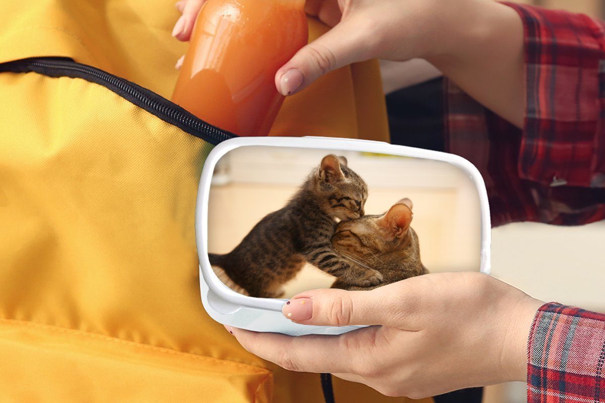 MuchoWow Lunchbox Ein Kätzchen mit Kunststoff, Erwachsene, und und Brotbox Jungs weiß für seiner für Brotdose, Mutter, (2-tlg), Kinder Mädchen