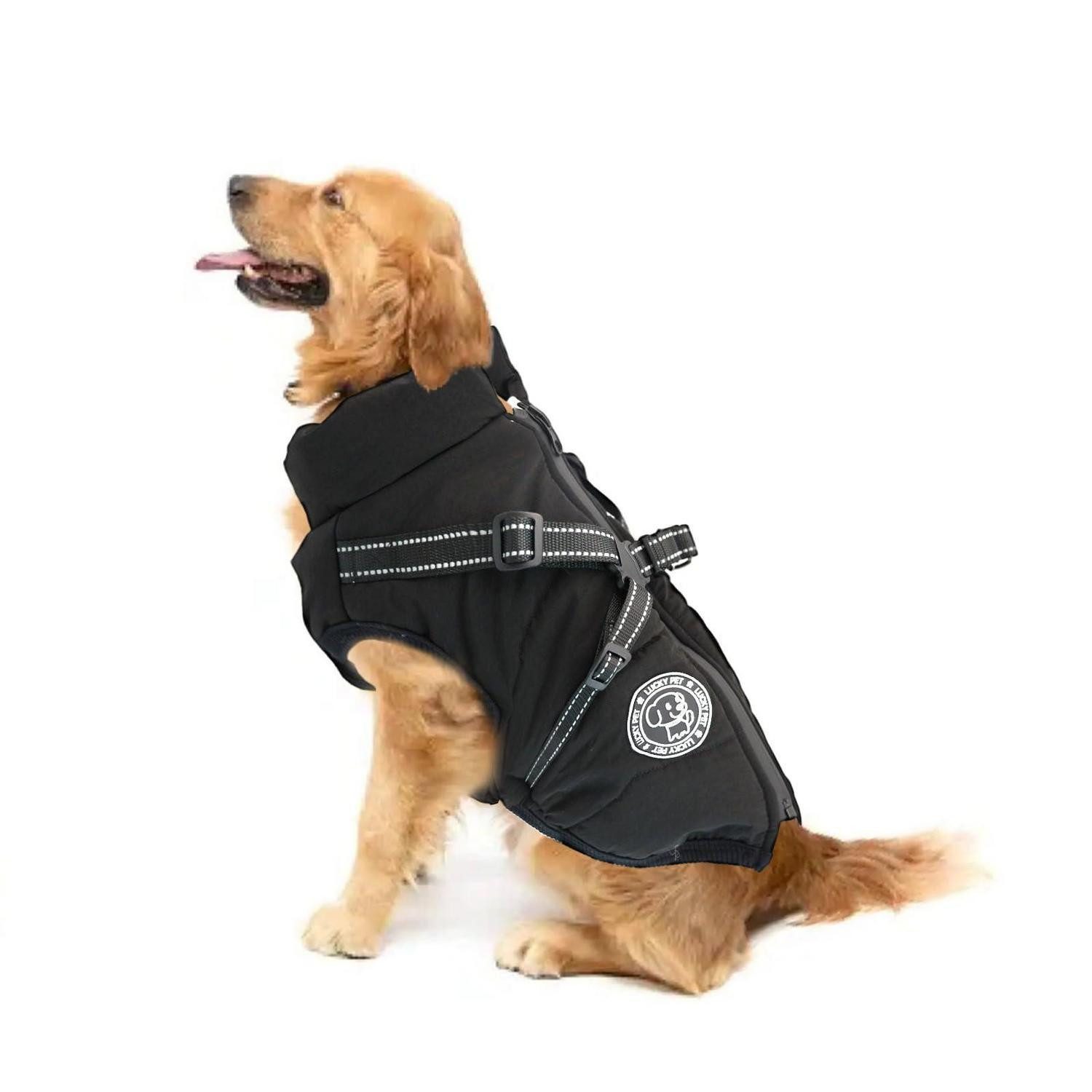 LuxusKollektion Hundejacke Hundemantel m. Geschirr wasserdicht XS schwarz