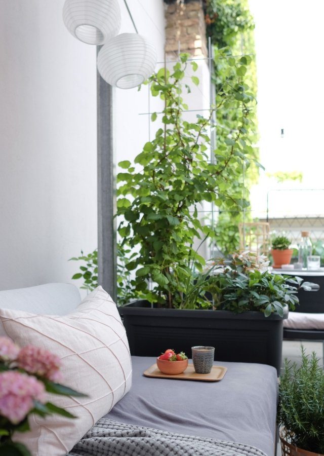 59+ Sichtblende Für Balkon, Ziligengsheng für balkon balkon