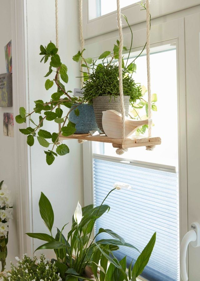 Pflanzen für die Fensterbank OTTO