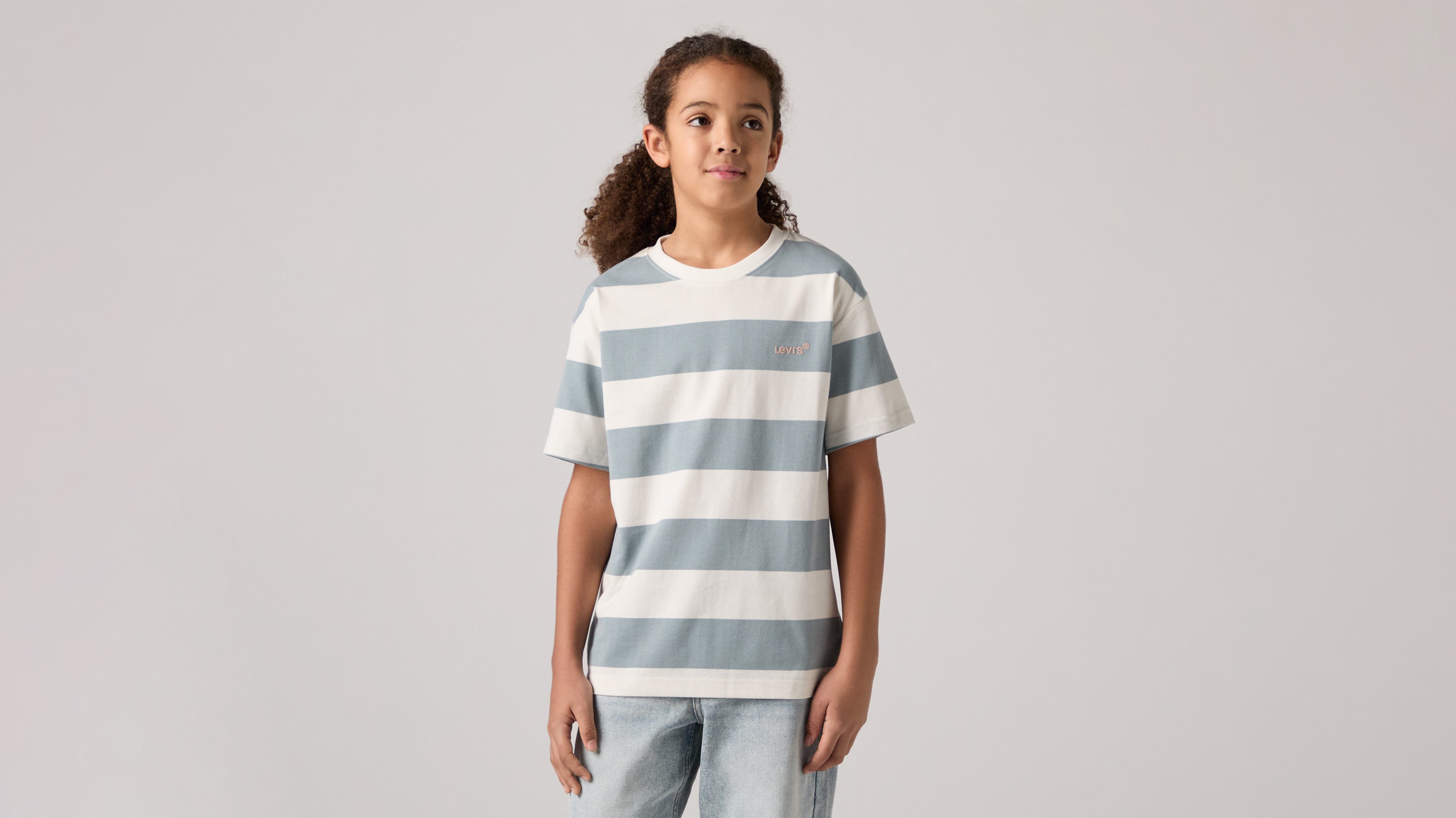 Levi's® Kids T-Shirt LVB BIG STRIPE TEE for Boys, gestreift