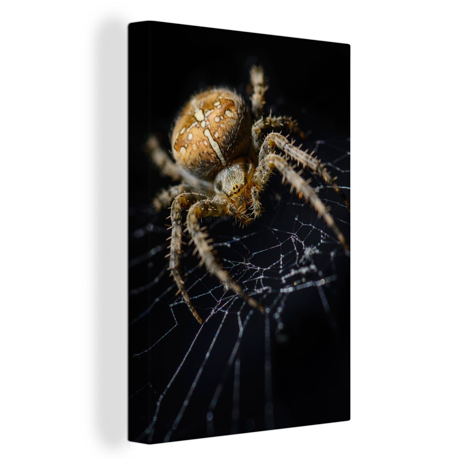 Leinwandbild Gemälde, 20x30 cm inkl. Leinwandbild Einschüchternde St), bespannt Spinne, OneMillionCanvasses® (1 fertig Zackenaufhänger,