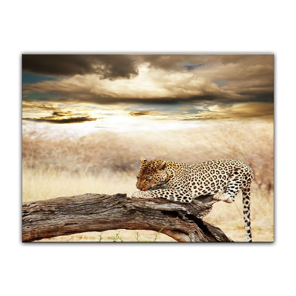 Bilderdepot24 Leinwandbild Leopard II, Tiere