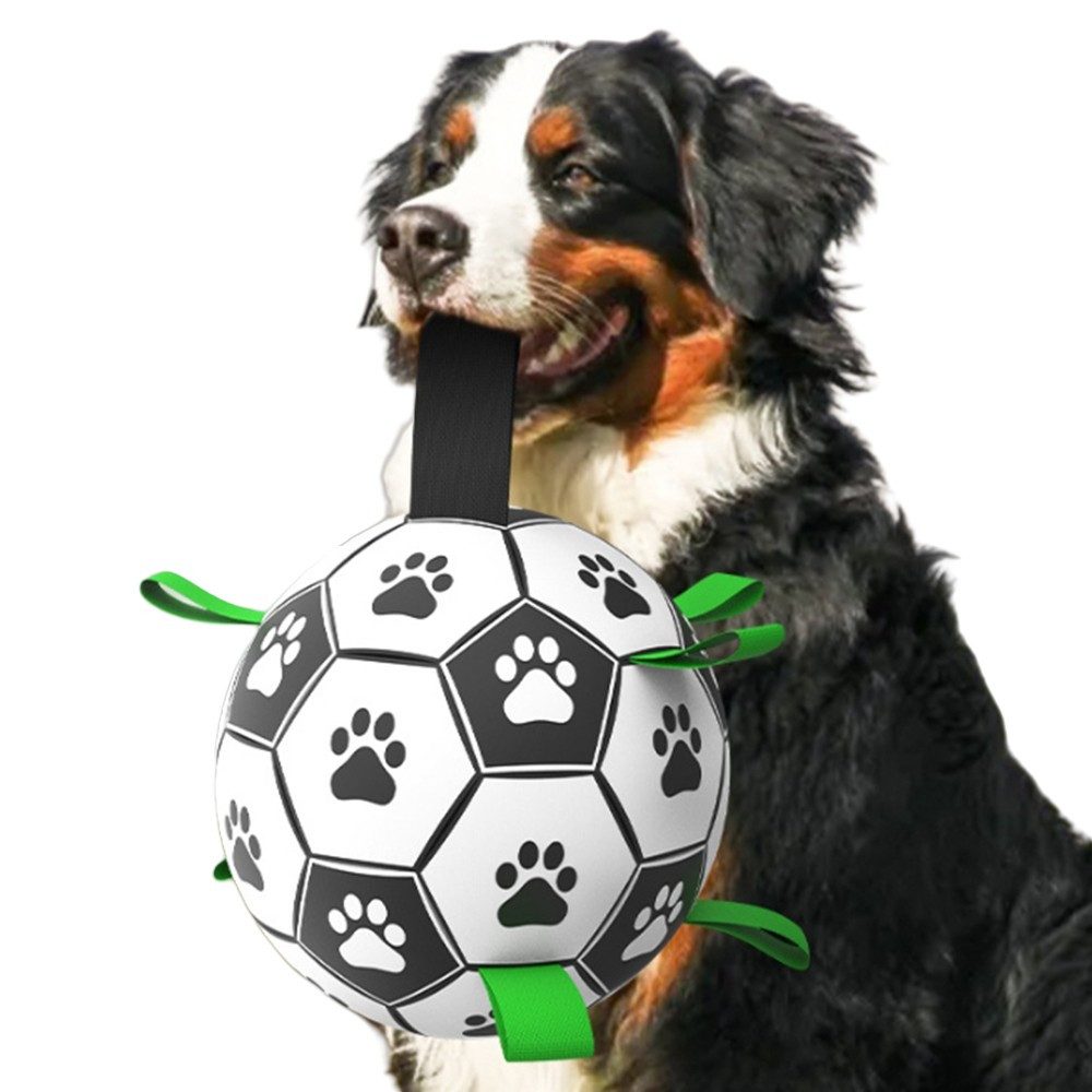 Coonoor Tier-Intelligenzspielzeug Hundespielzeug Ball,Hundefußball mit Grif günstig online kaufen