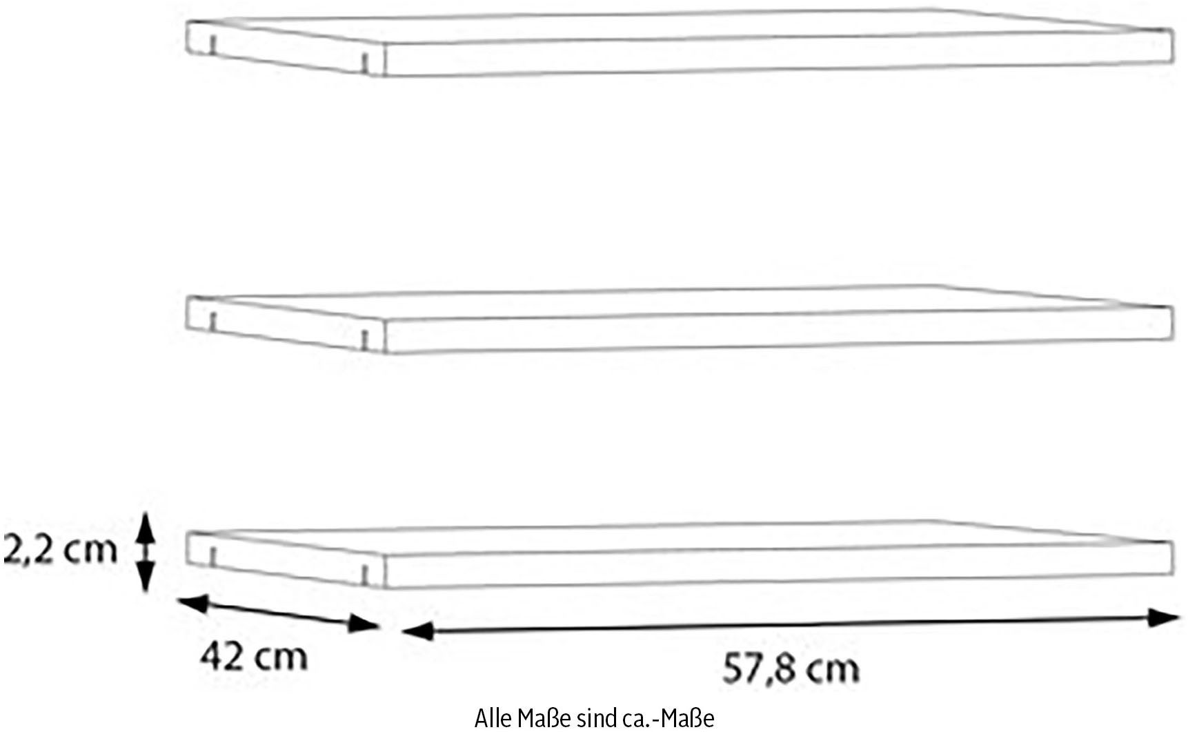 FORTE Einlegeboden, Einlegeböden 2,2 cm Stärke, optional bestellbar, 3er Set