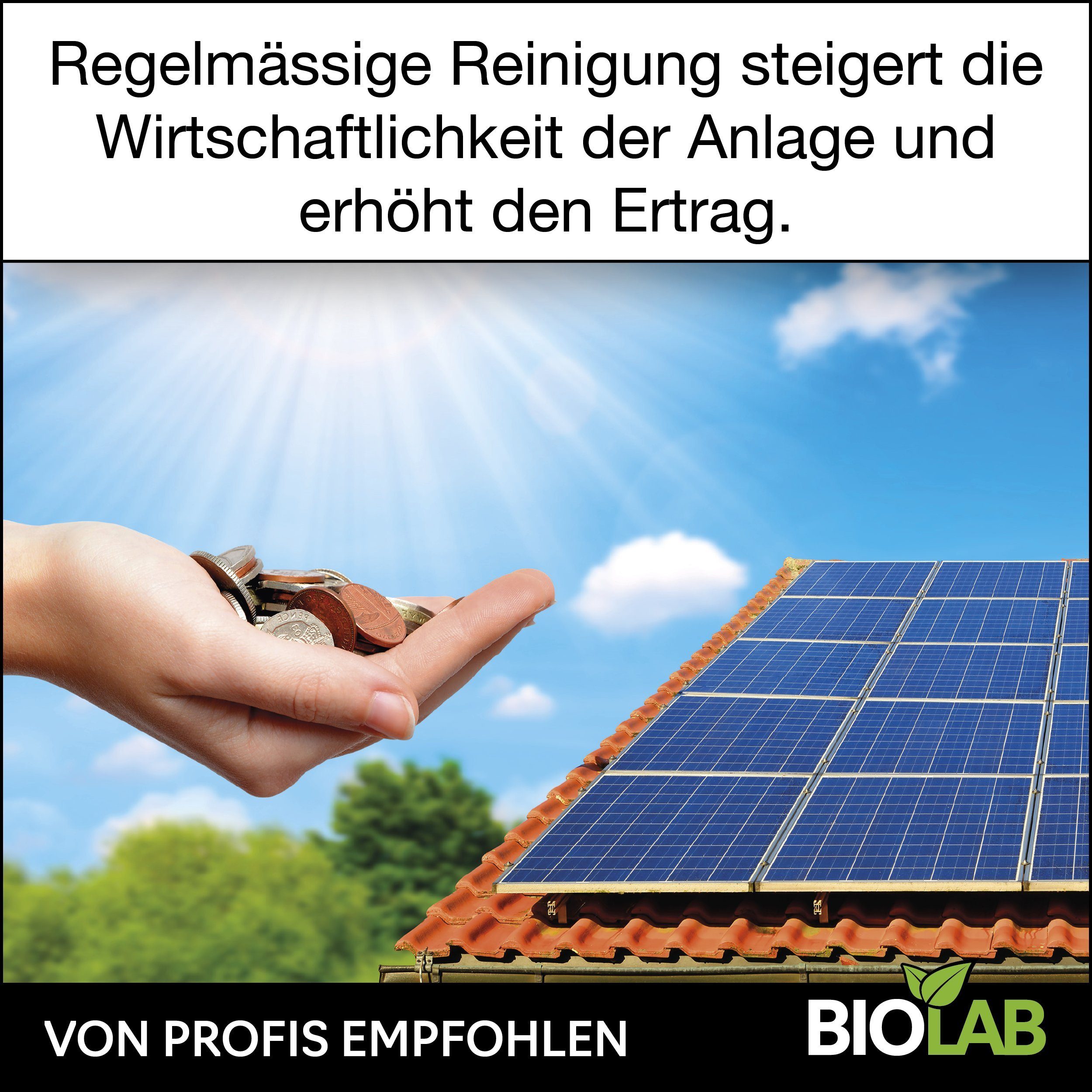 BIOLAB Reinigungskonzentrat Photovoltaik Solar ml Bio und (1-St. PV Reiniger Reinigungsmittel 1:20 1000 Solaranlagen Solarreiniger) Konzentrat