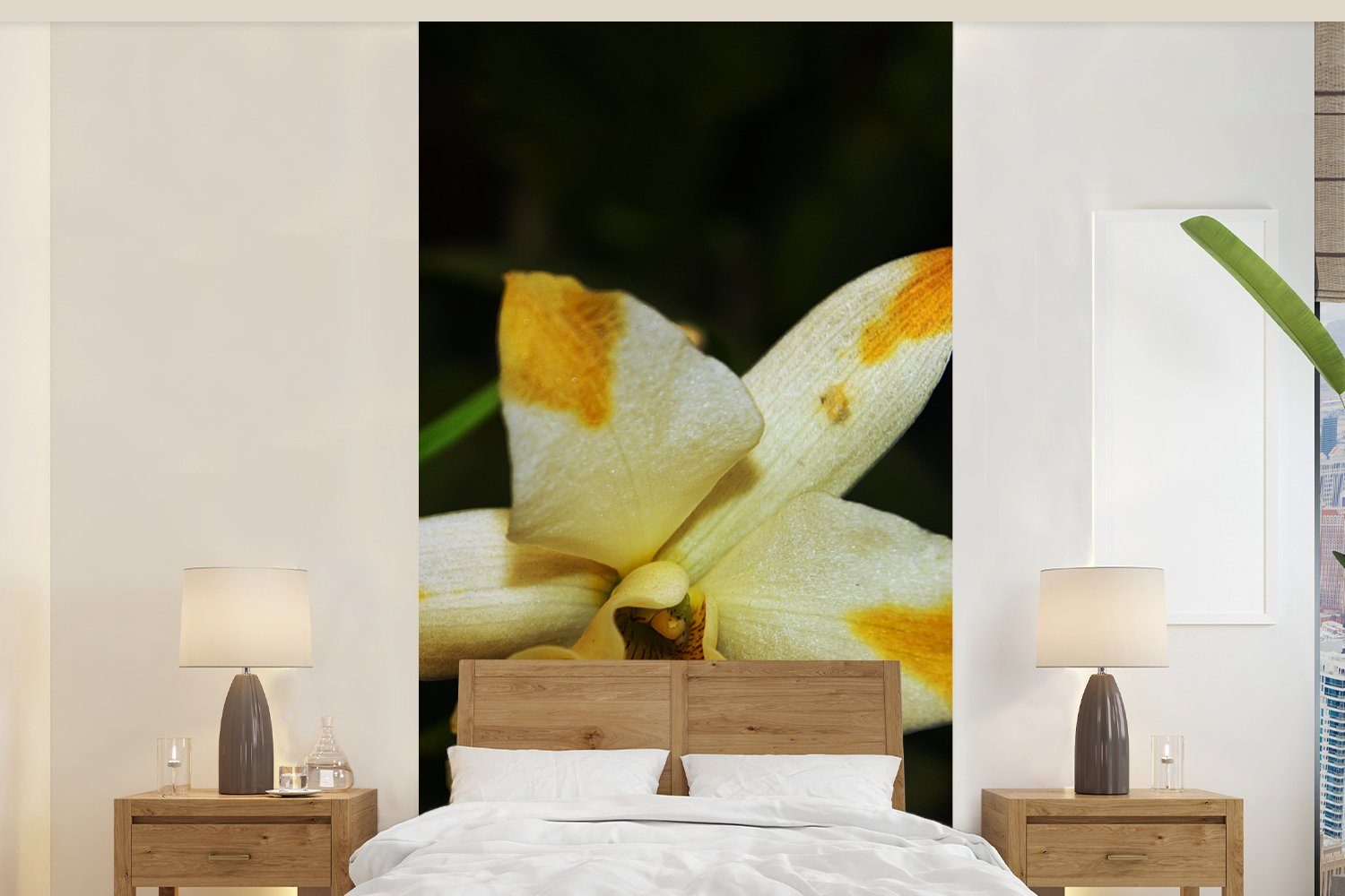 MuchoWow Fototapete Zwei Orchideenblüten, Matt, bedruckt, (2 St), Vliestapete für Wohnzimmer Schlafzimmer Küche, Fototapete