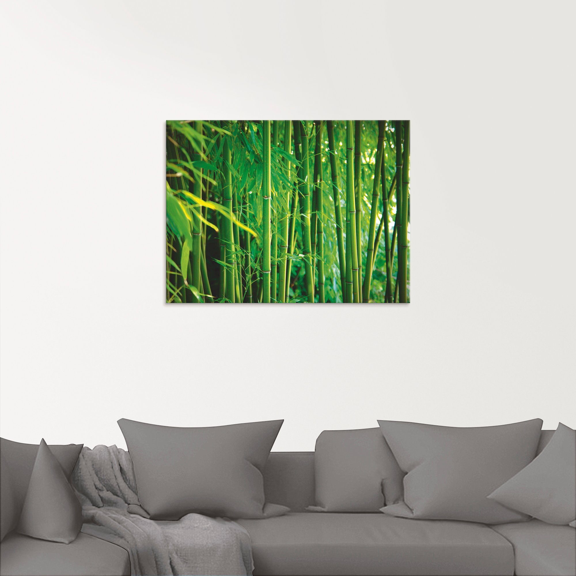 Glasbild verschiedenen Bambus, Größen Artland Gräser St), in (1