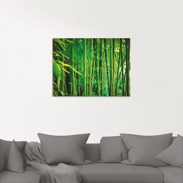 Artland Glasbild Bambus I, Gräser (1 St), in verschiedenen Größen