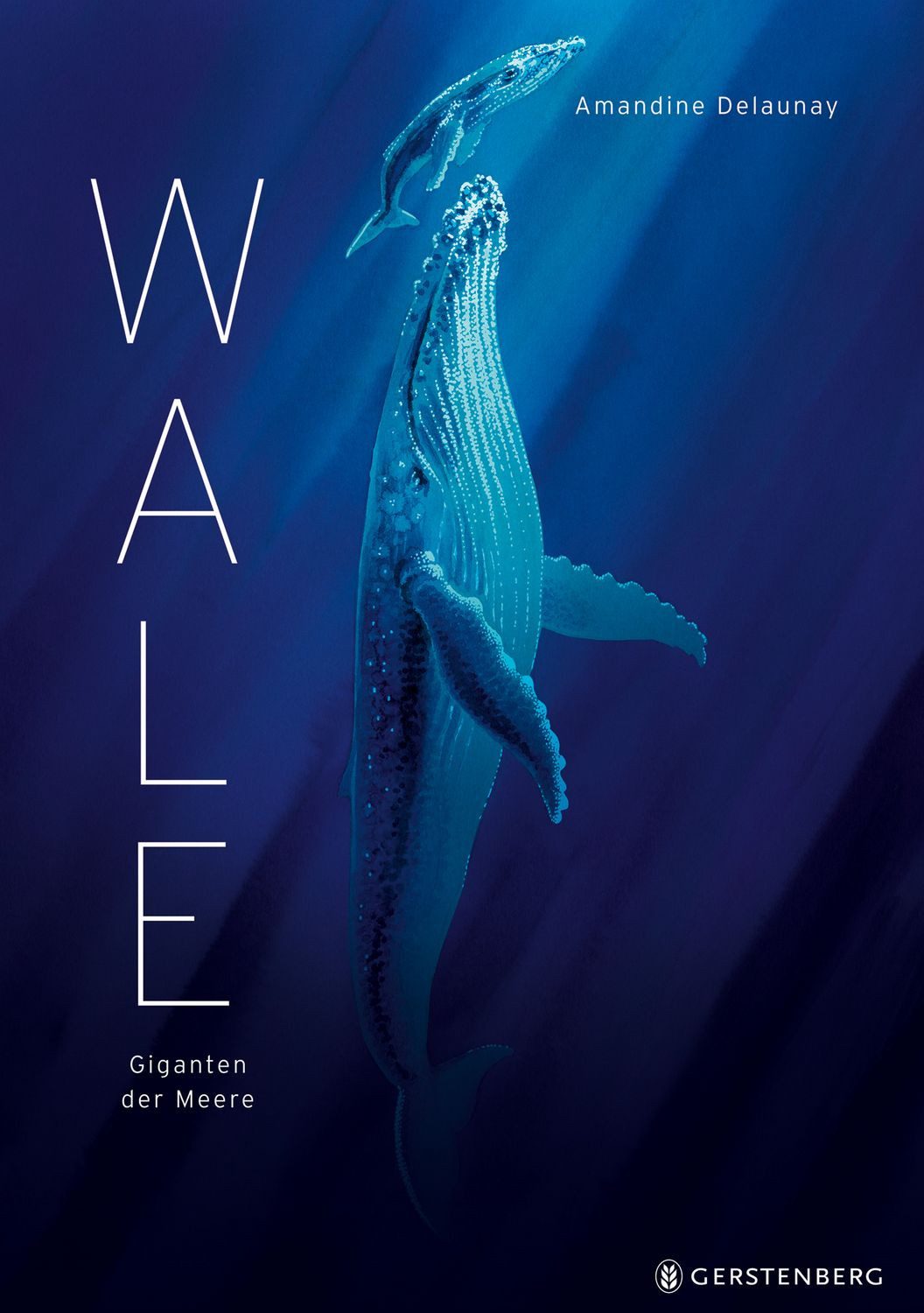 Wale / Amandine Delaunay