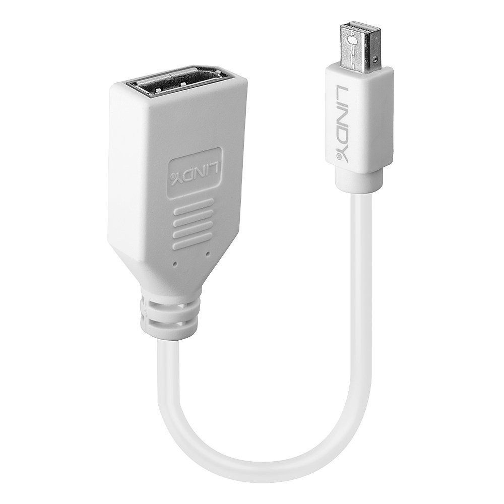 Lindy Adapter