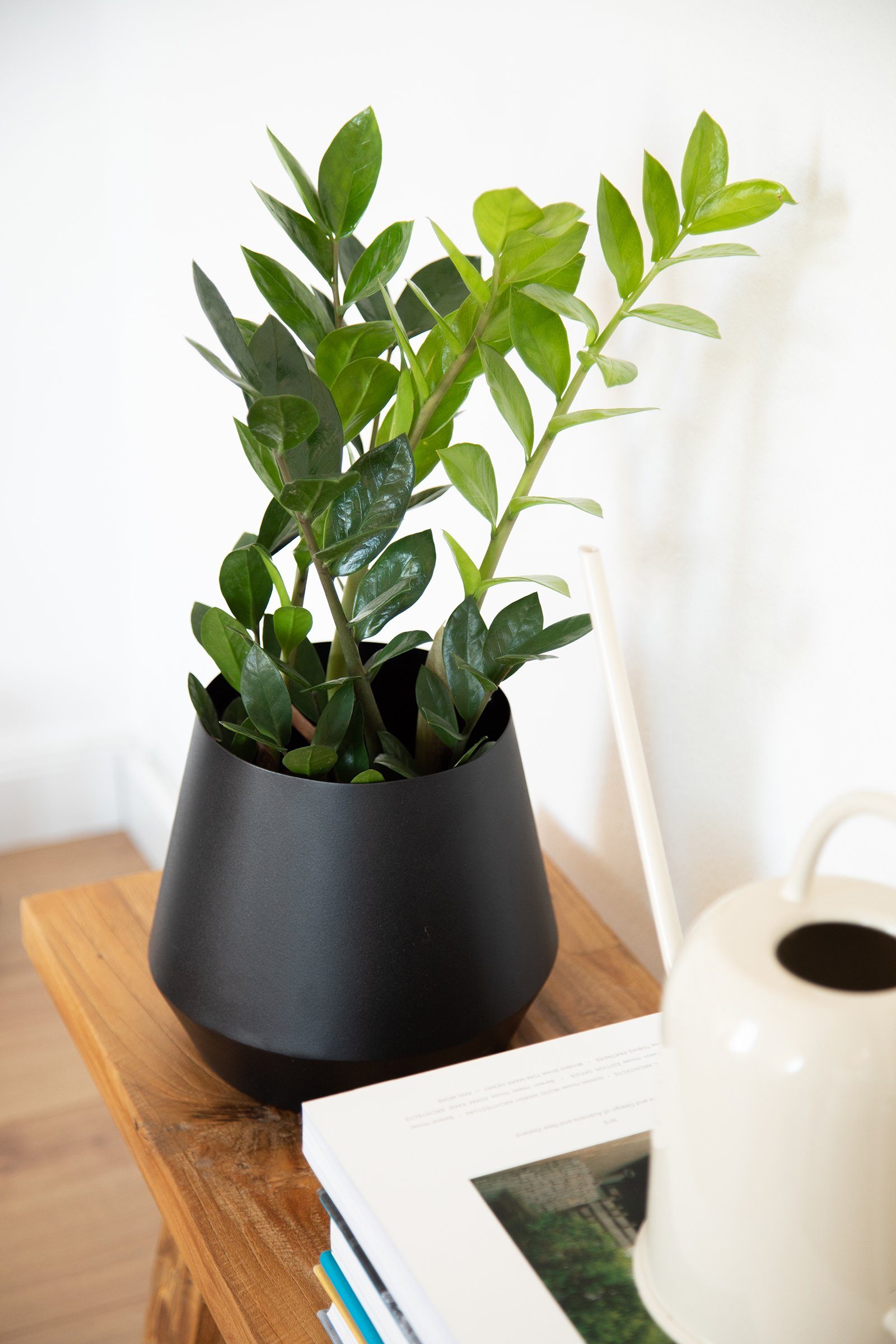 LaLe Living Blumentopf Timur in Schwarz matt Ø22 cm, aus Eisen