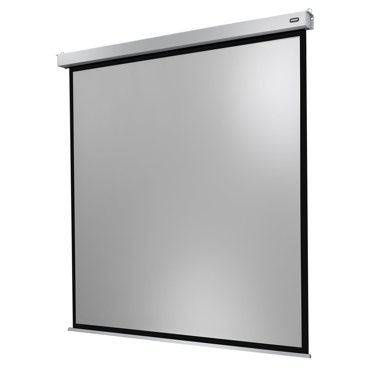 Celexon Professional Plus Motorleinwand (300 x 300cm, 1:1, Gain 1,2) | 1:1-Leinwände