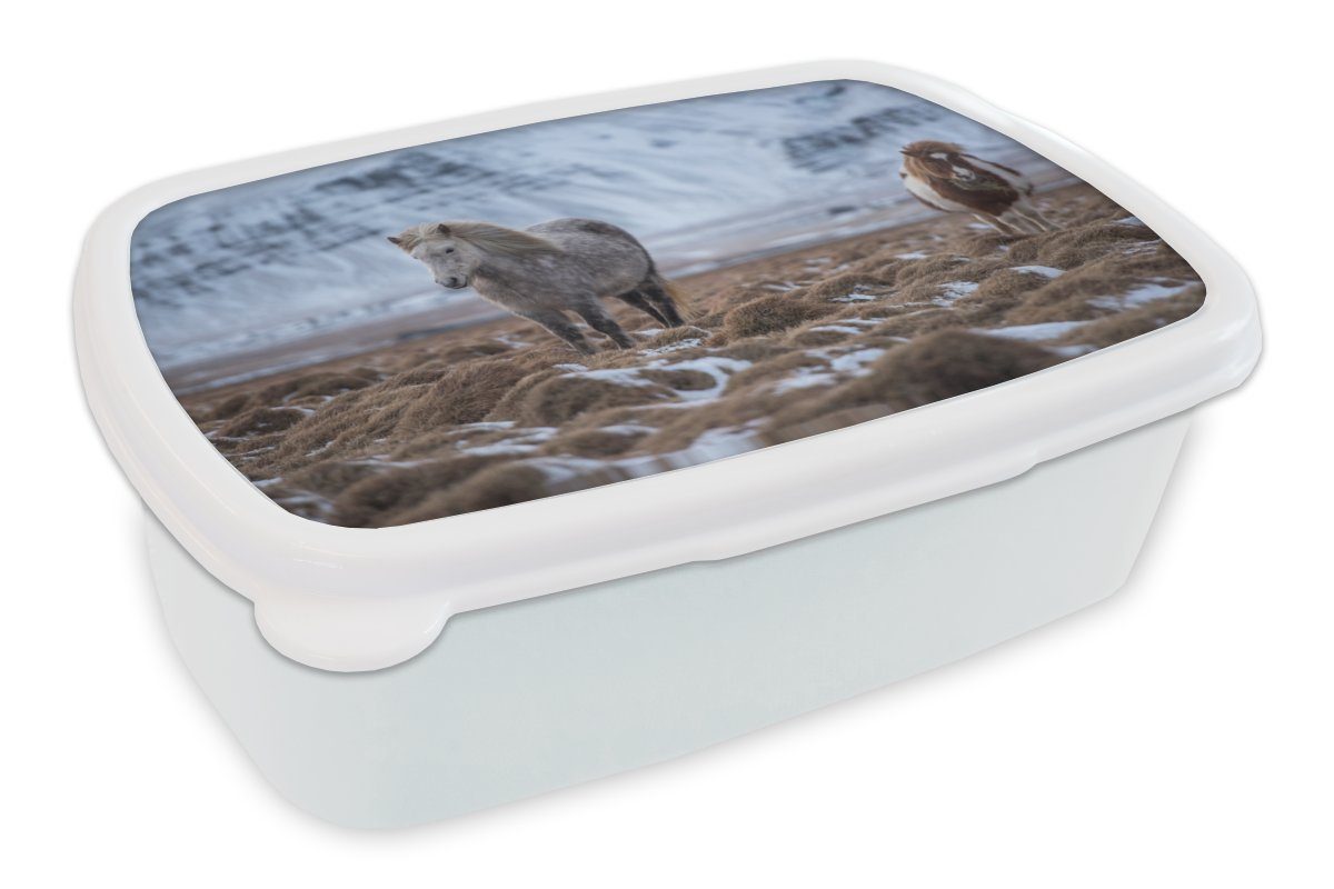 MuchoWow Lunchbox Island - Pferde - Schnee, Kunststoff, (2-tlg), Brotbox für Kinder und Erwachsene, Brotdose, für Jungs und Mädchen weiß