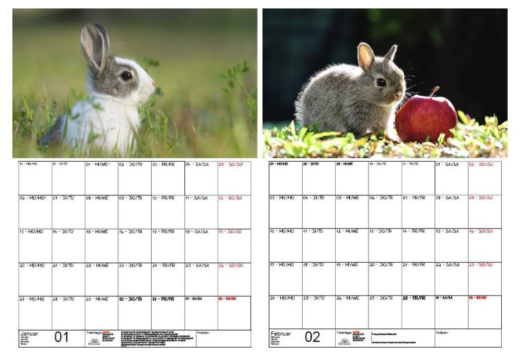 Thumbnail - Seelenzauber Wandkalender Tierkinder Hasen und Kaninchen Wand- Planer Kalender 2025 DIN A3