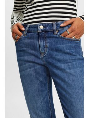 Esprit Straight-Jeans Gerade geschnittene Jeans mit mittelhohem Bund