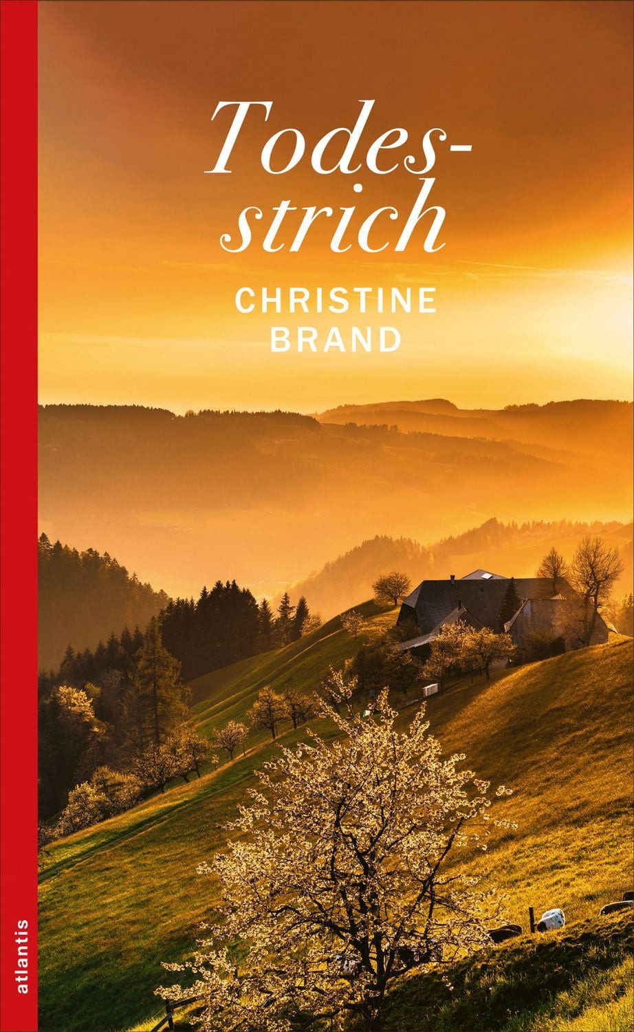 Todesstrich / Christine Brand