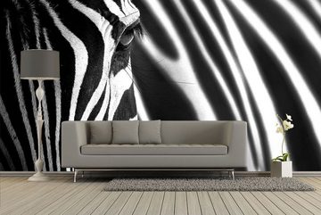 WandbilderXXL Fototapete Animal Stripes, glatt, Zebra, Vliestapete, hochwertiger Digitaldruck, in verschiedenen Größen