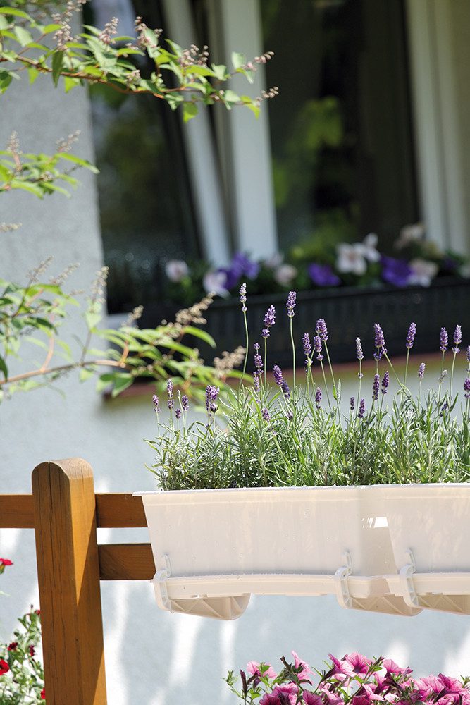 Annastore Balkonkasten Blumenkasten aus wetterfestem Kunststoff - Blumenkästen - Balkonkästen