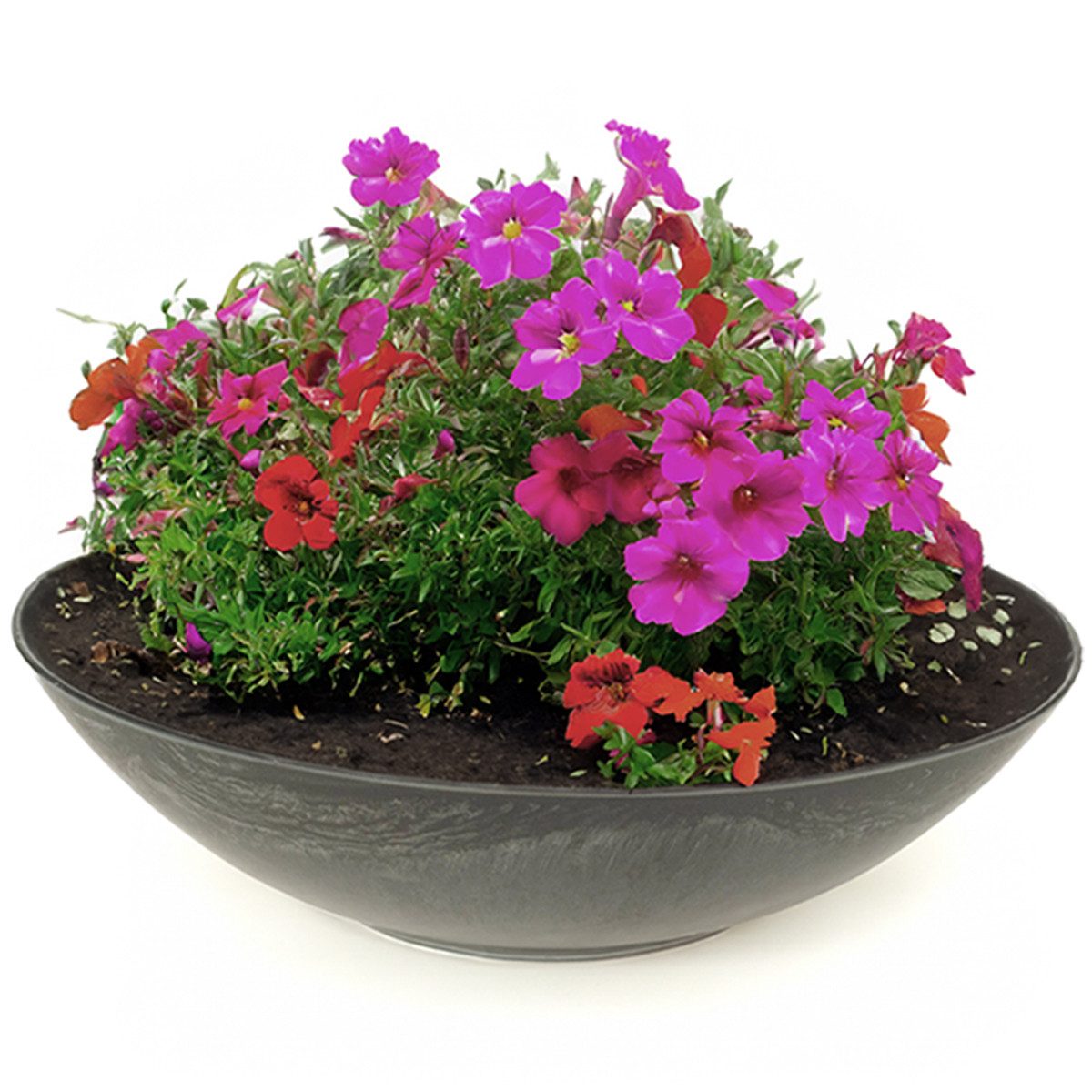 matches21 HOME & HOBBY Blumentopf Große Pflanzschale für draussen Dekoschale rund schwarz 45 cm (1 St), Blumen-Schale als wetterfeste Friedhof-Schale Grab-Schmuck Grabschale